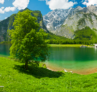 fileadmin/roha/images_galerie/orte_landschaft/Berchtesgaden/Koenigssee/BGD-KOE-BA-PAN-0001-D-roha-Berchtesgaden-Koenigssee-Panorama-Bartholomae-Wasser-Watzmann.png