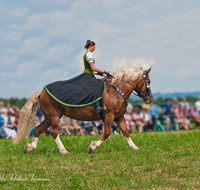 fileadmin/roha/images_galerie/brauchtum/Leonhardiritt/Holzhausen_01/Kaltblutfest/BR-PFRI-HOLZ-KALTBL-0050-D-roha-Brauchtum-Kaltblut-Pferd-Holzhausen-Teisendorf-Reiterin.png