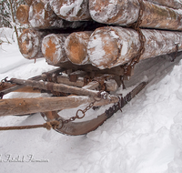 fileadmin/roha/images_galerie/Landwirtschaft/Forst-Holzknecht/HOLZKNE-HAM-DET-0004-D-roha-Holzknecht-Schlitten-Winter-Siegsdorf-Hammer-Winterzug.png