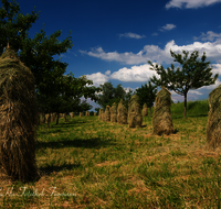 fileadmin/roha/images_galerie/Landwirtschaft/LANDW-HEU-HIEF-0007-D-roha-Landwirtschaft-Streuobstwiese-Heu-Ernte-Hiefel-Marquartstein.png