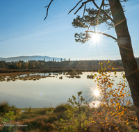 fileadmin/roha/images_galerie/stimmung-Sonne/Sonnenuntergang/SON-UN-SCHOEN-0003-1542-D-roha-Sonnenuntergang-Schoenramer-Moor-See.png