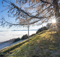 fileadmin/roha/images_galerie/stimmung-Sonne/STIM-ANG-FUERM-WI-0006-D-roha-Stimmung-Anger-Sonne-Winter-Fuermannalm.png