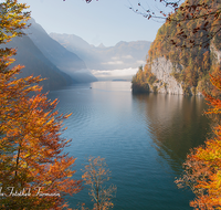 fileadmin/roha/images_galerie/orte_landschaft/Berchtesgaden/Koenigssee/BGD-KOE-MAL-0011-D-roha-Berchtesgaden-Koenigsee-Malerwinkel-Herbst.png