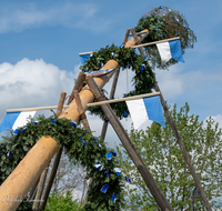 fileadmin/roha/images_galerie/brauchtum/Maibaum/BR-MAIB-SURH-0005-2023-1425-01-D-roha-Brauchtum-Maibaum-Saaldorf-Surheim.png