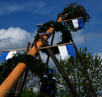 fileadmin/roha/images_galerie/brauchtum/Maibaum/BR-MAIB-SURH-0005-2023-1425-01-D-roha-Brauchtum-Maibaum-Saaldorf-Surheim.png