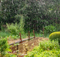 fileadmin/roha/images_galerie/Baum-natur-garten/Garten-Arbeit/GAR-REG-SON-0004-D-roha-Garten-Gemuese-Regen-Sonne-biologisch.png