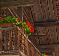 fileadmin/roha/images_galerie/orte_landschaft/Grossgmain/GROSSG-BAU-MU-0017-D-roha-Grossgmain-Bauernhofmuseum-Bauernhaus-Balkon-Blumenschmuck-Geranien.png