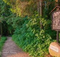 fileadmin/roha/images_galerie/kirche_religion/Ainring-Kreuzweg/KKKM-AINR-KR-04-0020-0-D-roha-Kreuzweg-Ainring-Kapelle-Kasaleitn.png