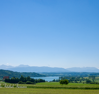 fileadmin/roha/images_galerie/orte_landschaft/Waging/LANDS-TACH-0002-D-roha-Landschaft-Tachinger-See-St-Coloman-Hochstaufen-Zwiesel-Teisenberg.png