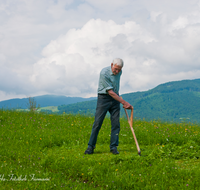 fileadmin/roha/images_galerie/Landwirtschaft/LANDW-HAND-SENS-0039-D-roha-Landwirtschaft-Handarbeit-Sense-Bauer-Blumenwiese-maehen.png