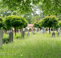 fileadmin/roha/images_galerie/orte_landschaft/Laufen/Klosterfriedhof/LAUF-KAPUZ-KI-0009-D-roha-Laufen-Kapuzinerkloster-Friedhof-Blumenwiese.png