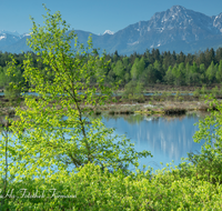 fileadmin/roha/images_galerie/orte_landschaft/Petting/Schoenramer-Moor/PE-SCHOENR-MOOR-0045-0-08-roha-Petting-Schoenramer-Moor-Moorsee-Watzmann-Lattengebirge-Hochstaufen.png