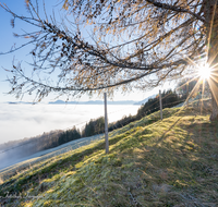 fileadmin/roha/images_galerie/orte_landschaft/Anger/Anger/Anger-Stimmung/STIM-ANG-FUERM-WI-0005-D-roha-Stimmung-Anger-Sonne-Winter-Fuermannalm.png