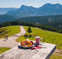 fileadmin/roha/images_galerie/orte_landschaft/Stoisser-Alm/Stoisser-Alm-kulinarisch/TEI-STO-GAS-0050-D-roha-Teisendorf-Stoisseralm-Kaiserschmarrn-Tasse-Kaffee-Marmelade-Berge-Mountainbike.png