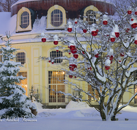 fileadmin/roha/images_galerie/orte_landschaft/Bad-Reich-Kurgarten-Beleuchtung/BAD-REI-KURGAR-WI-0006-D-roha-Bad-Reichenhall-Kurgarten-Rotunde-Christbaum-Christbaumkugel-rot-Schnee-Winter.png