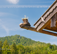 fileadmin/roha/images_galerie/Baum-natur-garten/Haus-Blumenschmuck-Deko/LANDA-ALM-0004-D-roha-Landart-Alm-Huette-Holz-Dachrinne-Blumenschmuck-Edelweiss-Bergschuh.png