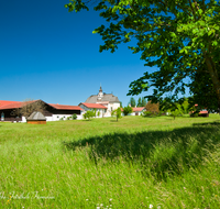 fileadmin/roha/images_galerie/orte_landschaft/Palling/PALL-HARPF-0003-D-roha-Palling-Harpfetsham-Klostergut-Blumenwiese.png