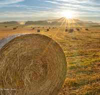 fileadmin/roha/images_galerie/Hintergrund-Download/1024x800/SON-AU-SAAL-BRUEN-0001-0619-D-M-roha-Sonnenaufgang-Saaldorf-Bruennthal.png