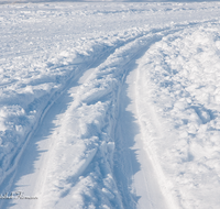 fileadmin/roha/images_galerie/wege/SPO-WIN-LANGL-0003-D-roha-Sport-Winter-Langlauf-Loipe-Piding-Schnee.png