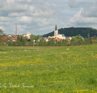 fileadmin/roha/images_galerie/orte_landschaft/Teisendorf/TEI-SUED-OST-0011-3-D-roha-Teisendorf-Sued-Ost-Fruehling-Blumenwiese.png