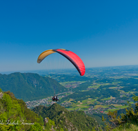 fileadmin/roha/images_galerie/Freizeit-Sport/Gleitschirm-Drachen/BAD-REI-PAN-PRE-GL-0001-D-roha-Bad-Reichenhall-Predigtstuhl-Gleitschirmflieger.png