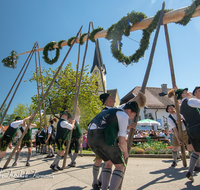 fileadmin/roha/images_galerie/brauchtum/Maibaum/Piding-Johannishoegl/BR-MAIB-PID-2017-1348-03-D-roha-Brauchtum-Maibaum-Piding.png