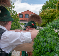 fileadmin/roha/images_galerie/brauchtum/Maibaum/Teisendorf/BR-MAIB-TEI-0100-2015-1245-01-D-roha-Brauchtum-Maibaum-Teisendorf-Aufstellen-Tracht-Gamsbart.png