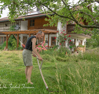 fileadmin/roha/images_galerie/Baum-natur-garten/Garten-Arbeit/GAR-WIESE-MAEH-0001-D-roha-Garten-Blumen-Wiese-Maehen-Sense-Haus.png