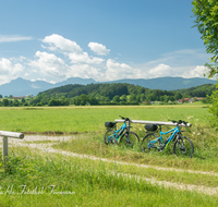 fileadmin/roha/images_galerie/Freizeit-Sport/E-Bike/SPO-E-BIKE-PET-RI-0002-D-roha-Sport-E-Bike-Petting-Ringham-Wimmern-Rupertiwinkel-Hochstaufen-Zwiesel-Teisenberg.png