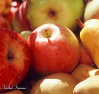 fileadmin/roha/reportagen/Apfelernte/BAUM-APFEL-OBST-0020-1-roha-Baum-Apfel-Birne-Obst.png