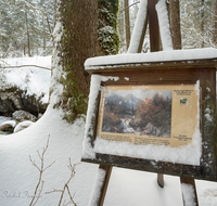 fileadmin/roha/images_galerie/orte_landschaft/Berchtesgaden/Ramsau/BGD-RA-ZAUB-WI-0007-D-roha-Berchtesgaden-Ramsau-Zauberwald-Gemaelde-Winter.png