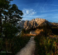 fileadmin/roha/images_galerie/orte_landschaft/Berchtesgaden/Rossfeld-Goell/BGD-ROSSF-GOELL-ST-0010-D-roha-Berchtesgaden-Rossfeld-Goell.png