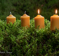 fileadmin/roha/images_galerie/brauchtum/Weihnachten/BR-WEIH-KERZE-AD-01-1556-D-roha-Brauchtum-Weihnachten-Advent-Vier-Kerzen-Moos.png