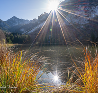 fileadmin/roha/images_galerie/orte_landschaft/Inzell/INZ-FRILL-0036-D-roha-Frillensee-Sonne-Stimmung-Biotop-Herbst-Naturschutz.png