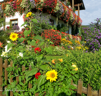 fileadmin/roha/images_galerie/Baum-natur-garten/Haus-Blumenschmuck-Deko/LANDA-BLUMENSCHM-0020-1-D-roha-Landart-Blumenschmuck-Haus-Garten-Sommer.png