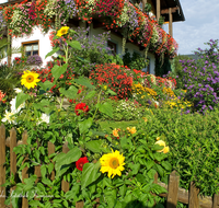 fileadmin/roha/images_galerie/Baum-natur-garten/Haus-Blumenschmuck-Deko/LANDA-BLUMENSCHM-0020-1-D-roha-Landart-Blumenschmuck-Haus-Garten-Sommer.png