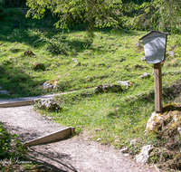 fileadmin/roha/images_galerie/orte_landschaft/Lofer-Kirchental-Wildenthal-Unken/LOFER-KIRCHENT-0009-D-roha-Lofer-Maria-Kirchental-Weg-St-Martin.png