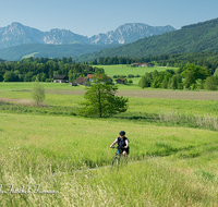 fileadmin/roha/images_galerie/Freizeit-Sport/E-Bike/SPO-E-BIKE-TEI-KARLS-0001-02-D-roha-Sport-E-Bike-Teisendorf-Hochstaufen-Karlsbach-Woerlach-Almeding.png