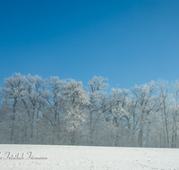 fileadmin/roha/images_galerie/Winter/WINT-HAARM-0014-D-roha-Winter-Haarmoos-Schnee-Rauhreif.png