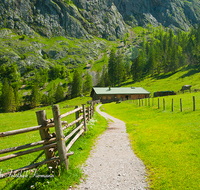 fileadmin/roha/images_galerie/orte_landschaft/Berchtesgaden/Koenigssee/BGD-KOE-OBERS-0022-D-roha-Berchtesgaden-Obersee-Koenigsee-Wasser-Weg-Zaun.png