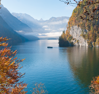 fileadmin/roha/images_galerie/orte_landschaft/Berchtesgaden/Koenigssee/BGD-KOE-SCHIFF-0026-D-roha-Berchtesgaden-Koenigsee-Bartholomae-Schifffahrt-Herbst.png