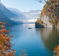 fileadmin/roha/images_galerie/orte_landschaft/Berchtesgaden/Koenigssee/BGD-KOE-SCHIFF-0026-D-roha-Berchtesgaden-Koenigsee-Bartholomae-Schifffahrt-Herbst.png