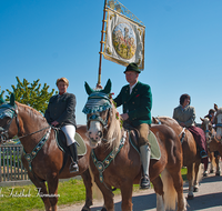 fileadmin/roha/images_galerie/brauchtum/Leonhardiritt/Holzhausen_01/BR-PFRI-HOLZ-0065-D-roha-Brauchtum-Pferdeumritt-Holzhausen-Teisendorf-Leonhardiritt-Reiter-Pferd.png