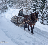 fileadmin/roha/images_galerie/Landwirtschaft/Forst-Holzknecht/HOLZKNE-HAM-PFERD-0015-1416-00546-D-roha-Holzknecht-Pferd-Schlitten-Winter-Siegsdorf-Hammer-Winterzug.png