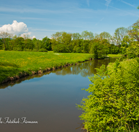 fileadmin/roha/images_galerie/orte_landschaft/Saaldorf/LANDS-SAAL-SUR-MITTG-0009-D-roha-Landschaft-Saaldorf-Surheim-Mittergraben-Wasser.png