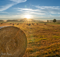 fileadmin/roha/images_galerie/stimmung-Sonne/Sonnenaufgang/SON-AU-SAAL-BRUEN-0001-0619-D-M-roha-Sonnenaufgang-Saaldorf-Bruennthal.png