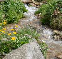 fileadmin/roha/images_galerie/wasser/WAS-BACH-NAT-SCHAP-0002-D-roha-Wasser-Bach-Nationalpark-Berchtesgaden-Schapachalm.png