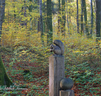 fileadmin/roha/images_galerie/dies_das/Kunst/WEGE-TEIS-VERS-0010-D-roha-Weg-Teisendorf-Skulpturenweg-Wald-Herbst-Bank-Eichkaetzchen.png