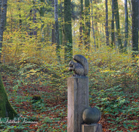 fileadmin/roha/images_galerie/dies_das/Kunst/WEGE-TEIS-VERS-0010-D-roha-Weg-Teisendorf-Skulpturenweg-Wald-Herbst-Bank-Eichkaetzchen.png