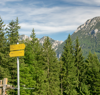 fileadmin/roha/images_galerie/orte_landschaft/Inzell/INZ-BAECK-ALM-0013-D-roha-Inzell-Baeckeralm-Beschilderung-Wanderweg-Zwiesel.png